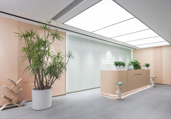 辦公室裝修設(shè)計(jì)施工：打造高效與舒適并存的現(xiàn)