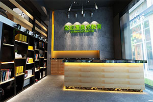 美術教育培訓機構裝修設計全景效果圖